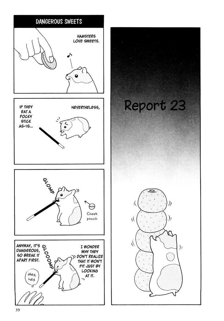 Hamster no Kenkyuu Report Chapter 16 1